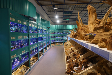 8 Fressnapf Aquaristik